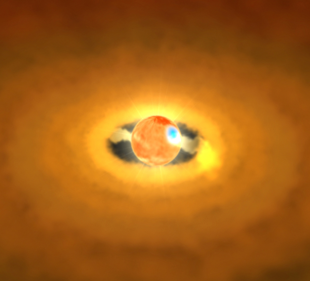 Newborn Star's 'Heartbeat' Seen by X-ray Telescopes